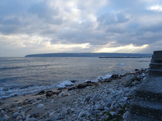 Beautiful swans birds during sunset  in Black sea at Varna - BG
