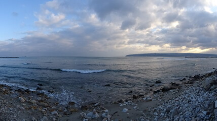 Beautiful swans birds during sunset  in Black sea at Varna - BG