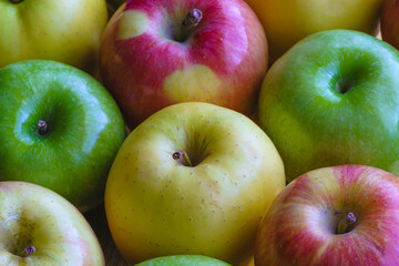 Several apples of various fresh and tasty varieties, yellow, green and red, grouped together 