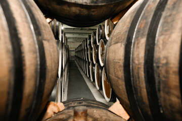 Wine barrels in winery cellar basement.