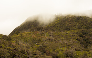 Panoramic nature landscape from Iao valley in wahiee forest on Maui island, Hawai.