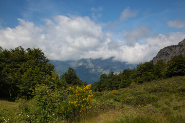View of the rocky peaks of the Pyrenees, covered with low clouds. In the foreground is a green meadow and trees.