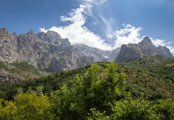 View of the rocky peaks of the Pyrenees, covered with low clouds. In the foreground is a green meadow and trees.