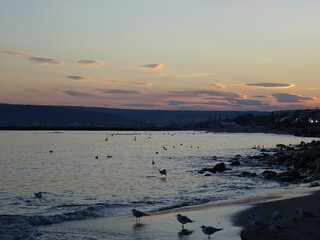 Beautiful nature in Black sea at Varna - BG