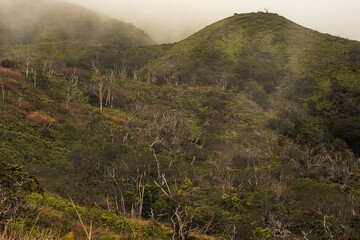 Panoramic nature landscape from Iao valley in wahiee forest on Maui island, Hawai.