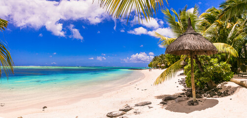 Idyllic tropical holidays. Dream beach with turquoise sea, palms and white sand. Mauritius island
