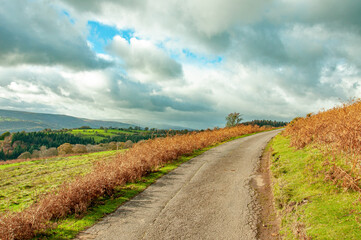 Autumn landscape in the Welsh hills.