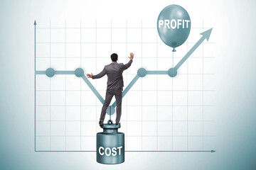 Chart with profit and cost and businessman