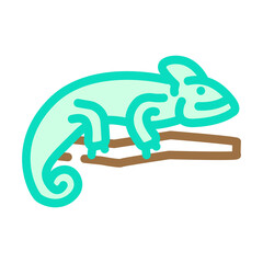 chameleon animal color icon vector. chameleon animal sign. isolated symbol illustration