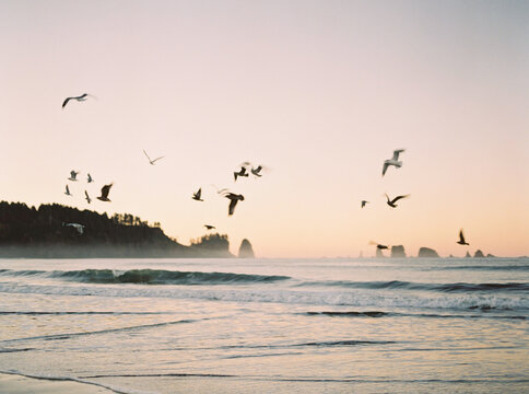 Wake me up when stars go sleep