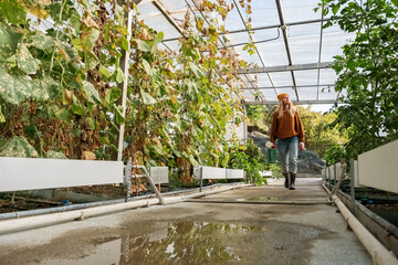 Female gardener walking in hothouse