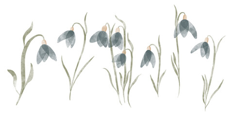Variety of watercolor trendy flowers. Vector illustration for web, app and print. Elegant feminine shapes floristic isolated snowdrops flowers. Garden, botanical, minimalistic floral set.