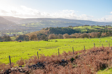 Fototapeta na wymiar Autumn landscape in the Welsh hills.