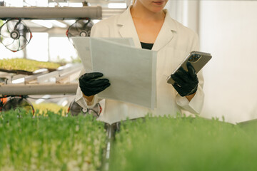 Farmer in white coat checks documents for microgreens