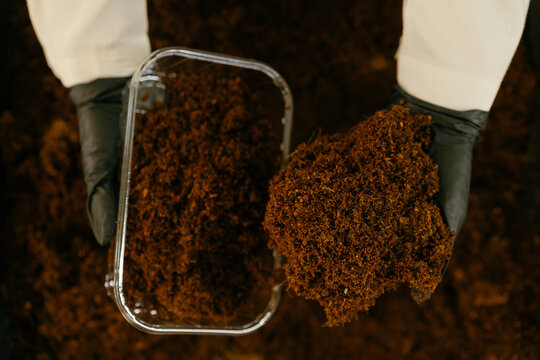 A woman puts peat in trays for growing microgreens