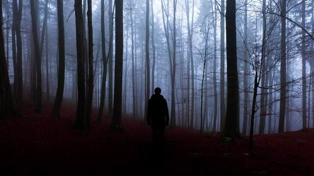Man silhouette in mystery dark mist autumn woods landscape.