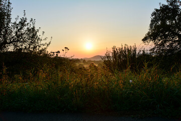 Meadow in nature at sunrise