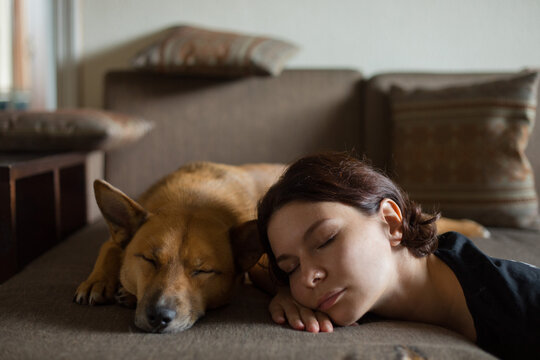 beautiful portrait of a girl with a dog
