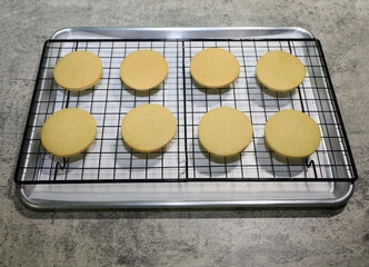 Round shape sugar cookies for decorating with royal icing cooling off on top of a cooling rack.
