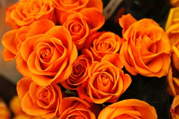 bouquet of orange roses