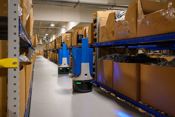 Two Robots stopped in Ecommerce  Warehouse 