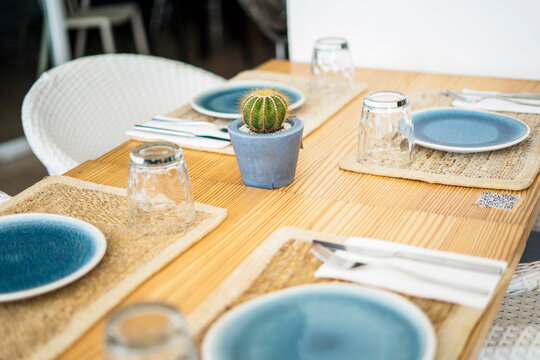 Table setting with cactus in restaurant