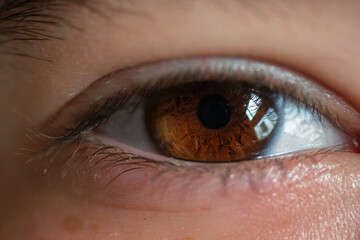 A close up of a child's brown eye
