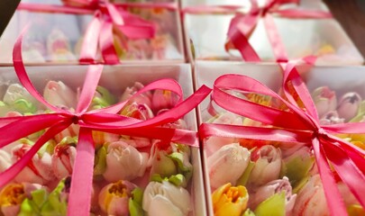 sweet tulips	