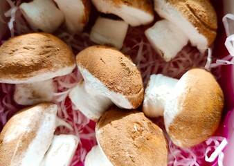 close up of mushrooms	