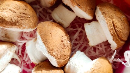 close up of mushrooms	