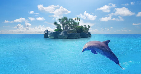 Dolphins swimming,jumping on blue ocean cloud,marine wildlife background 