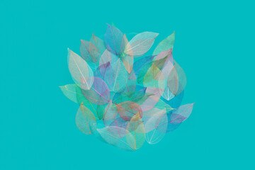 Colorful autumn leaves on turquoise background