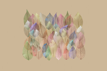 Colorful leaves making square on pastel background