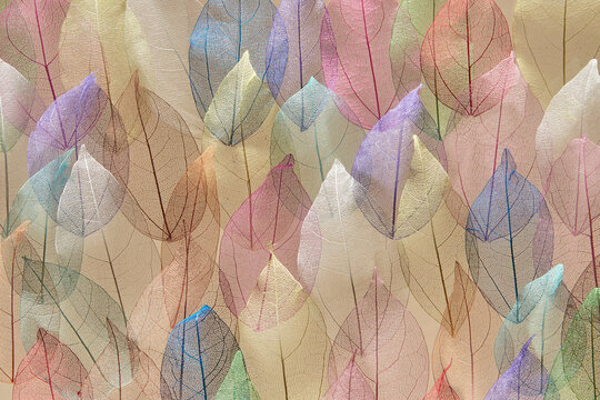 Seamless backdrop of veined colorful leaves