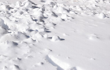 Snow texture