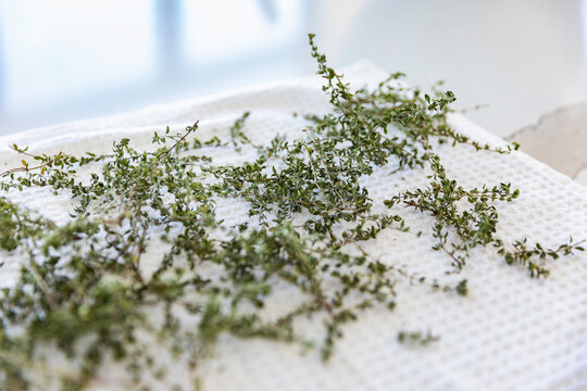 Fresh Thyme from Garden drying on Countertop 