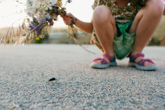 Beetle crossing asphaltic road next to crouching kid
