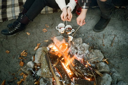 Company of friends roasting marshmallow over camp fire 