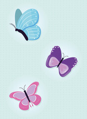 beautiful butterflies illustration