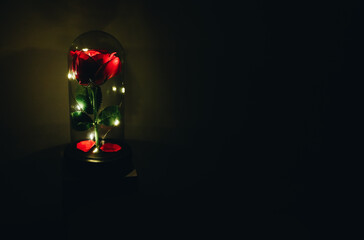 Dark room with illumination from glass flask with rose inside, romantic love gift, place for text