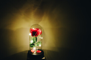 Romantic illuminated rose in glass flask, romantic love gift