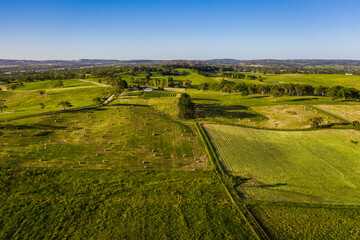 drone view of farmland