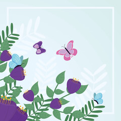 butterflies and flowers illustration