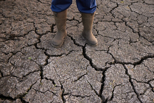 Farmer male feet stand on  cracked ground