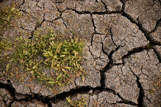 Dry cracked earth