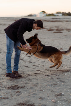 Man and a dog having fun