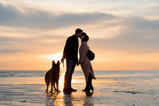 Couple with a dog kissing on a beach