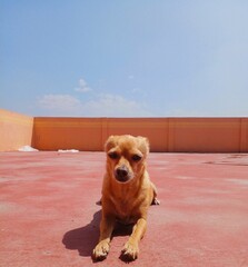 Processed with VSCO with  preset