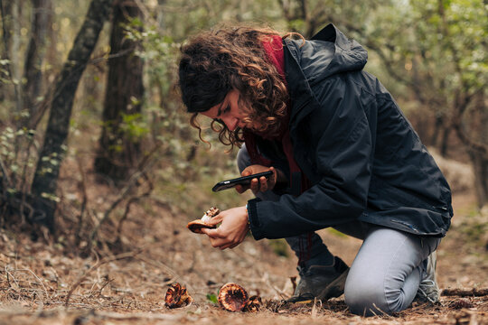 Identifying wild fungi