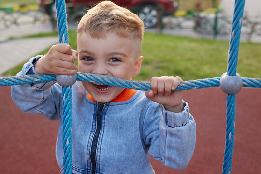 Portrait of a little boy 